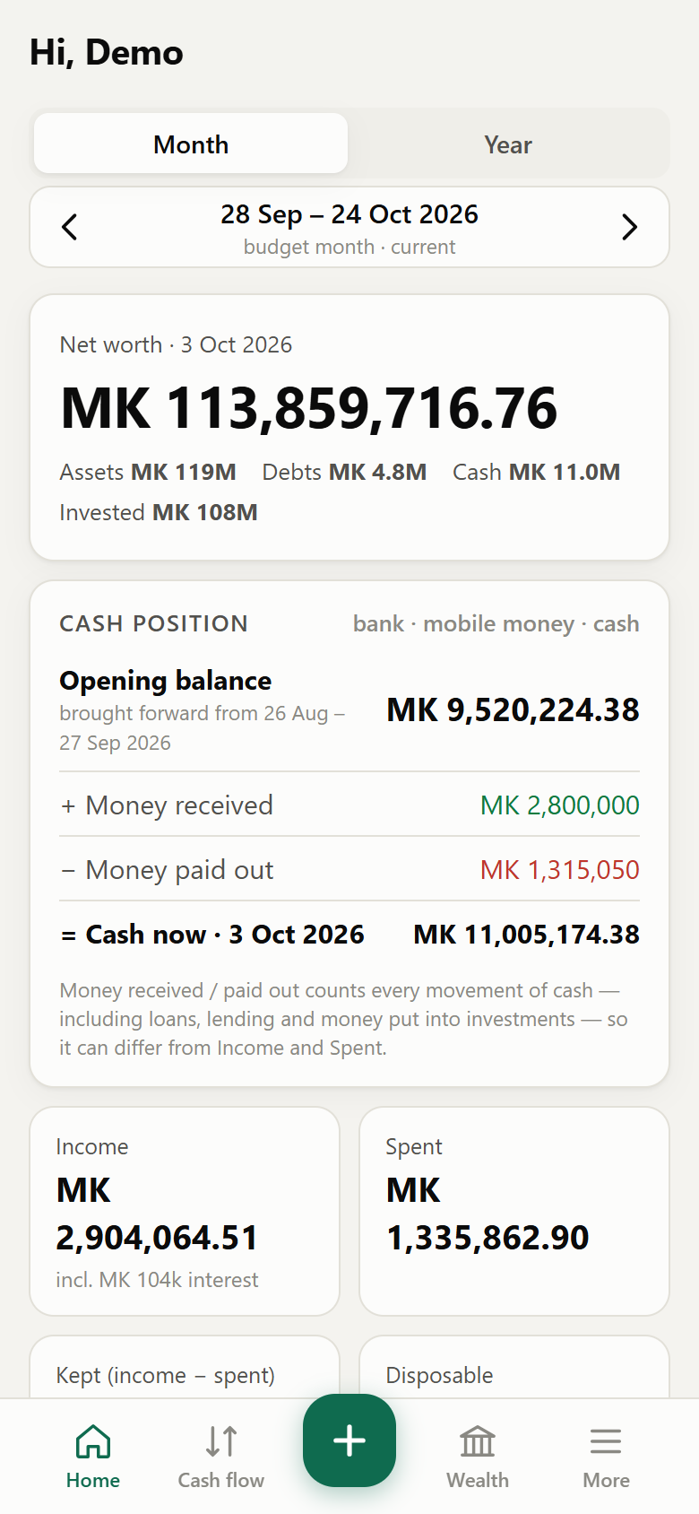 Home dashboard showing net worth and cash position